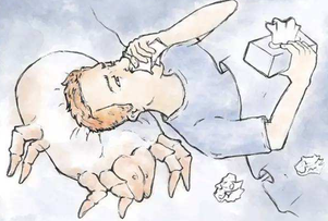 空氣凈化器能除螨嗎？空氣凈化器怎么用？