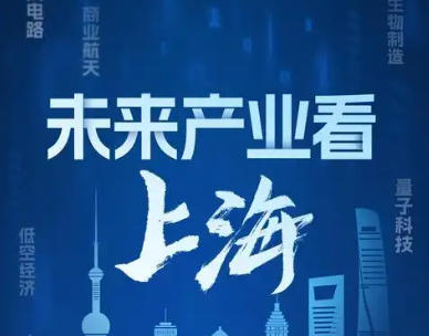 上海市人民政府辦公廳印發《關于加快推動前沿技術創新與未來產業培育的若干措施》的通知